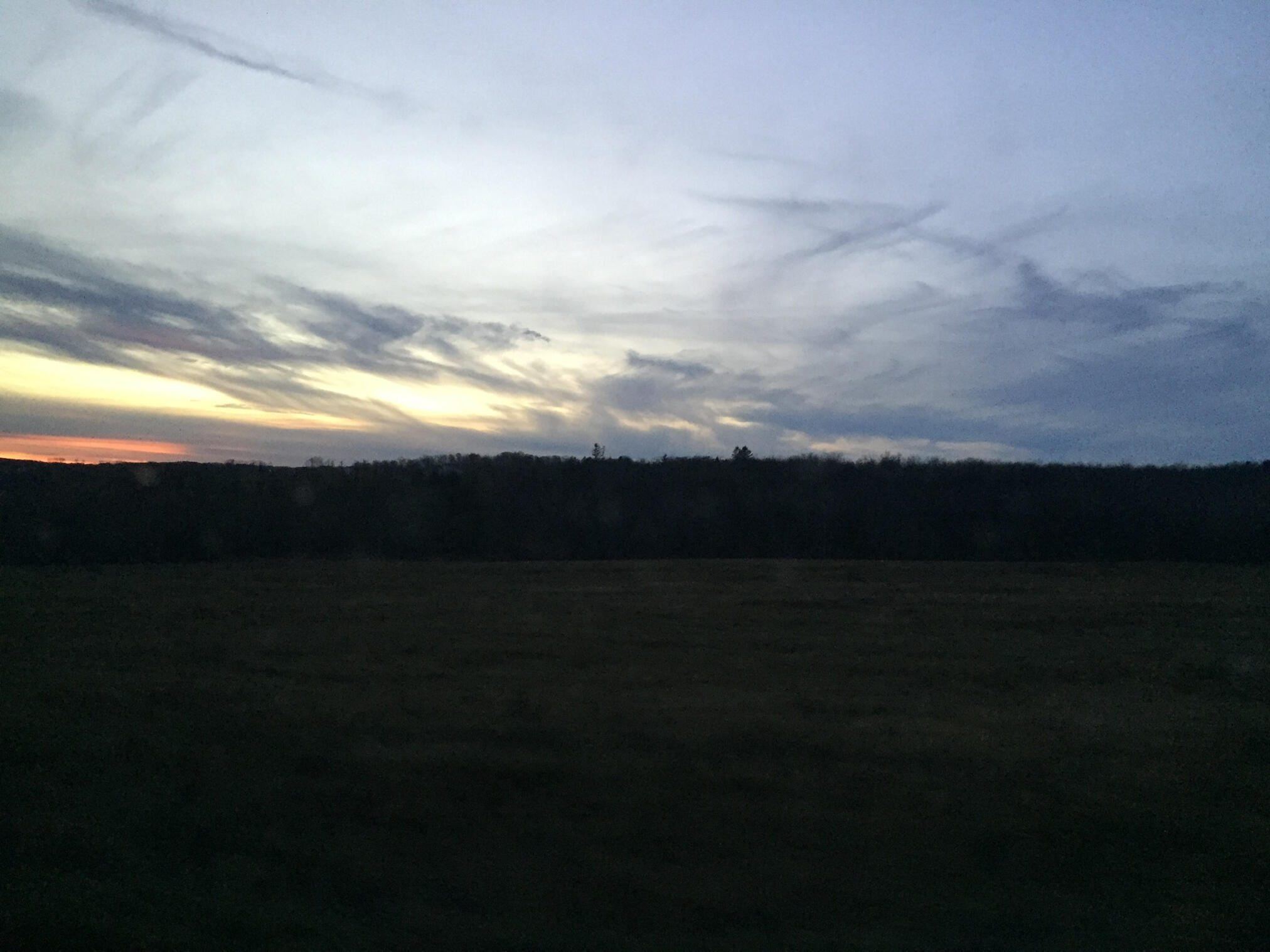 a picture i took on my iphone 6
