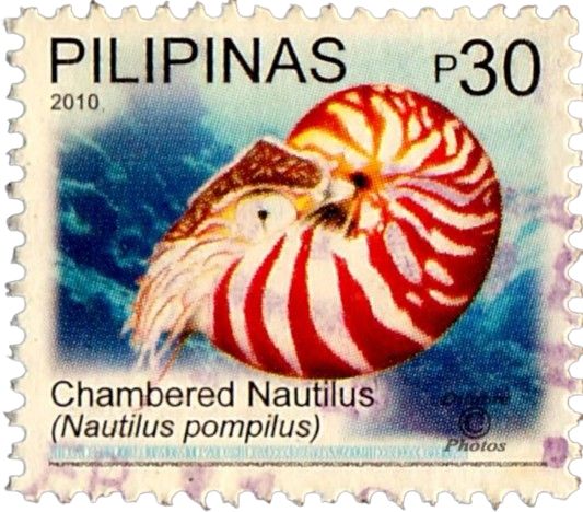 Ocean stamp ☆